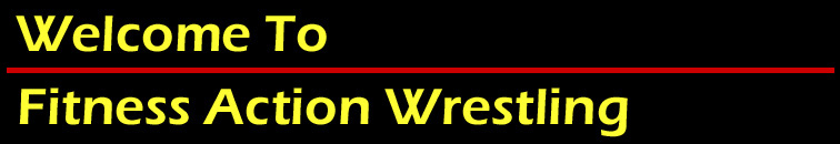 female bikini wrestling